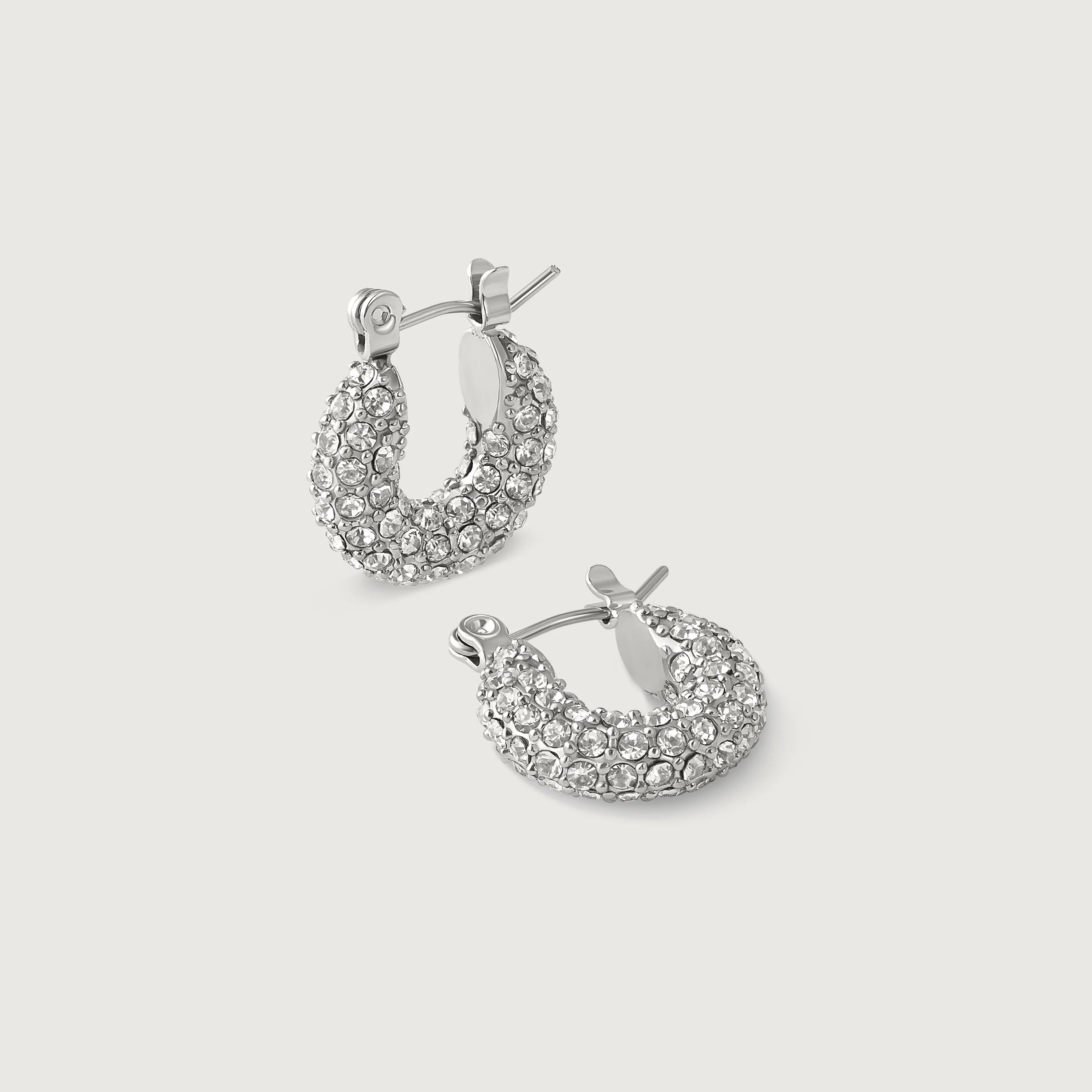 Silver Earrings